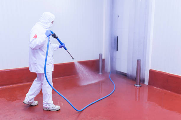 Boat and Dock Cleaning in Four Oaks, NC